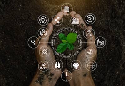 Estudios energías renovables en Mallorca